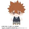 BANDAI Purinuittachi Dream Mini Reborn! Tsunayoshi Sawada Peluche Japan Official