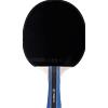 Sport 200 *ITTF racchetta interno