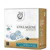 FITOPREPARATORI ITALIANI FPI COLLAGENE ATTIVO 15F 25ML