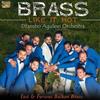 Dzambo Agusevi Orchestra Brass Like It Hot: Fast & Furious Balkan Brass (CD)