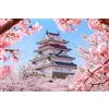 PuzzleVividix Puzzle Monte Fuji Paesaggio Giapponese 500-2000 Pezzi Adulti Regalo