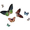 d-c-fix tovaglietta - Papilio (29 cm x 44 cm rettangolare) - tovaglietta gialla per tavolo da cucina e da pranzo - idonea al contatto con alimenti & lavabile