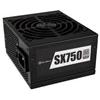 Silverstone Alimentatore 750W Silverstone SFX 80 Plus Platinum modulare Nero [SST-SX750-PT v1.1]