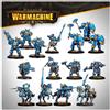 Steamforged Games Warmachine: Cygnar Storm Legion Auxiliary Expansion
