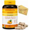 SALUS VIBES Bromelina Advance Forte Drenante 5000 GDU/g con Tarassaco e Betulla - 120 Capsule Vegetali Gastroresistenti - Fino a 4 Mesi - Made in Italy