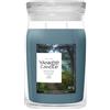 Yankee Candle Signature Candela in Giara Grande Bayside Cedar 90 Ore
