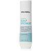 Goldwell Dualsenses Scalp Specialist Anti-Dandruff Shampoo 250 ml