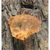 Giallo Dorato Topazio 85 KT Certificato Naturale Gemma Grezzo T36399 Memorie Day