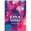 Busch Media Group Diva Futura (DVD) Giulia Louise Steigerwalt Pietro Castellitto Barbara Ronchi