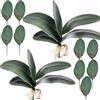HinyoCo Foglia Orchidea Artificiale 26 cm Radici Dall'Aspetto Reale Piante Un Contatto Nel Lattice Verde Faux Leaf Arrangement (11)