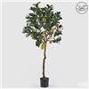 EDG Enzo De Gasperi Limone Anti-UV x13 con Vaso Pianta Artificiale H 184 Cm Verde Giallo