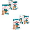 ROYAL CANIN Ageing 11+ Gravy | Umido per gatti senior 11+ | 2 x 12 x 85 g | Royal Canin | Alimento completo | Per la fase senior da 11+ | HealthyAge7 Complex | Bocconcini in salsa | Doppio pacco