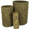 JR FARM Rotolo primavera piccolo 125 g