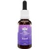 Australian Bush Flower Essences Travel 30ml