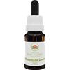 Australian Bush Flower Essences Mountain Devil 15ml