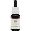 Australian Bush Flower Essences Sturt Desert Pea 15ml