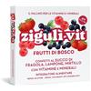 FALQUI PRODOTTI FARMAC. SRL Zigulì Vit Vitamine E Minerali Frutti Di Bosco 40 Palline Caramelle Bimbi