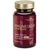 PRODECO PHARMA SRL Prodeco insyn magnesio 8 60 compresse