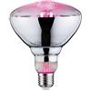 Paulmann 28737 Lampadina LED luce per piante lampadina da 6,5 Watt illuminazione luce 1300 K E27