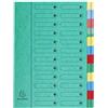 Exacompta Trieur harmonika fenetres imprimees sans elastique nature future carte lustree 24 compartiments