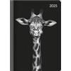 Alpha Edition Lady Journal Midi Wildlife Art 2025 - Agende Lady Journal Midi 12 x 17 cm