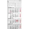 Zettler Alpha Edition - Calendario da muro olandese quadrimensile 2023, 30x63 cm, 12 mesi