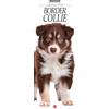 Sprea Book Border collie. Calendario 2026. Long