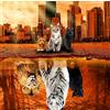 Lzbabyily Puzzle da 1000 pezzi per adulti gatto tigre giocattolo animale adulto 27x20cm giocattolo unico difficile sfida grande gioco giocattolo regalo