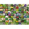 Ravensburger Puzzle Ravensburger 12000073 - 99 erbe e spezie - Puzzle da 1000 pezzi per adulti e bambini dai 14 anni in su