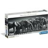 Clementoni - Puzzle 1000 Pezzi per Adulti e Ragazzi, Collection, Tema Mandria di Giganti, Immagine Elefanti, con Poster Incluso, Compact Box, Idea Regalo Made in Italy, 98x33 cm, 39895