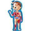 Hape Puzzle Corpo umano | 50 pezzi per insegnare il corpo umano | Adatto ai bambini dai 4 anni