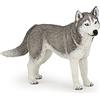 Papo - Statuina Husky Siberiano Realistica Giocattolo per Bambini - 3 Anni + - Collezione Cani e Gatti - Gioco Educativo Animali Nordici - Idea Regalo Giocattolo Bambina Bambino - 11.2 Cm