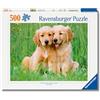 Ravensburger - Puzzle 500 Pezzi I Fratelli Golden Retriever, Adulti 49x36cm | Puzzle 500 pezzi, 49x36 cm, per adulti dai 14 anni, collezione 500 pezzi e ideale come idea regalo originale.