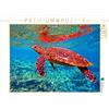 CALVENDO Andrea Hess - Puzzle a forma di tartarughe marine, 1000 pezzi, dimensioni 64 x 48 cm