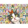 Schmidt Spiele 59759 Espressioni facciali del gatto, puzzle da 1000 pezzi