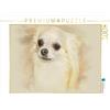 CALVENDO Andrea Redecker - Puzzle Chihuahuas 2017, 1000 pezzi, dimensioni 64 x 48 cm