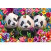 Schmidt Spiele 56578 Panda Trio, 200 pezzi puzzle per bambini in tavola di erba