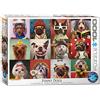 EuroGraphics Cani divertenti di Lucia Heffernan