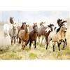 Nathan - Puzzle da 1000 pezzi - A cavallo nel deserto - Adulti e bambini a partire dai 14 anni - Puzzle di alta qualità - Collezione Wildlife - 12000919