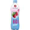 HÖLLINGER - JUST LOVING NATURE Höllinger Bio Organic Sprizz Bevanda Frizzante al Lampone, 30% Meno Zucchero, Naturale