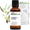 Aroma Labs Eucalipto Globulus BIO (Eucalyptus globulus) - 30 mL - Olio Essenziale Chemiotipizzato e Certificato AB - Benessere respiratorio - Aroma Labs - Made in France