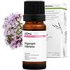 Aroma Labs Maggiorana a Coquille BIO (Origanum majorana) - 10 mL - Olio Essenziale Chemiotipizzato e Certificato AB - Sistema nervoso - Aroma Labs - Made in France