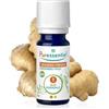 Puressentiel Olio Essenziale di Zenzero Fresco BIO 5 ml | Olio essenziale 100% puro e naturale OEBBD. Integratore. Funzione digestiva. Regolare motilità. Antinausea