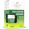 Australian Company Tea Tree Soluzione Unghie, favorisce la crescita di unghie sane e rinforzate, aiuta a contrastare la micosi in modo naturale, con pratico applicatore a pennellino10 ml Australian Company Tea Tree
