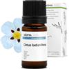 Aroma Labs Cisto BIO (Cistus ladaniferus) - 5 mL - Olio Essenziale Chemiotipizzato e Certificato AB - Aroma Labs - Made in France