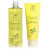 SBC Ginseng&Yuzu Bagnoschiuma (500ml) + Scrub (200ml)