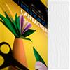 FABRIANO Blister 10fg cartoncino 35x50cm 220gr bianco Cartacrea Fabriano 46435100
