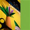 FABRIANO Blister 10fg cartoncino 35x50cm 220gr verde Cartacrea Fabriano 46435111