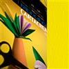 FABRIANO Blister 10fg cartoncino 35x50cm 220gr giallo Cartacrea Fabriano 46435107