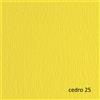 FABRIANO BLISTER 20FG CARTONCINO 50X70 220GR CEDRO 25 FABRIANO ELLE ERRE 42450725